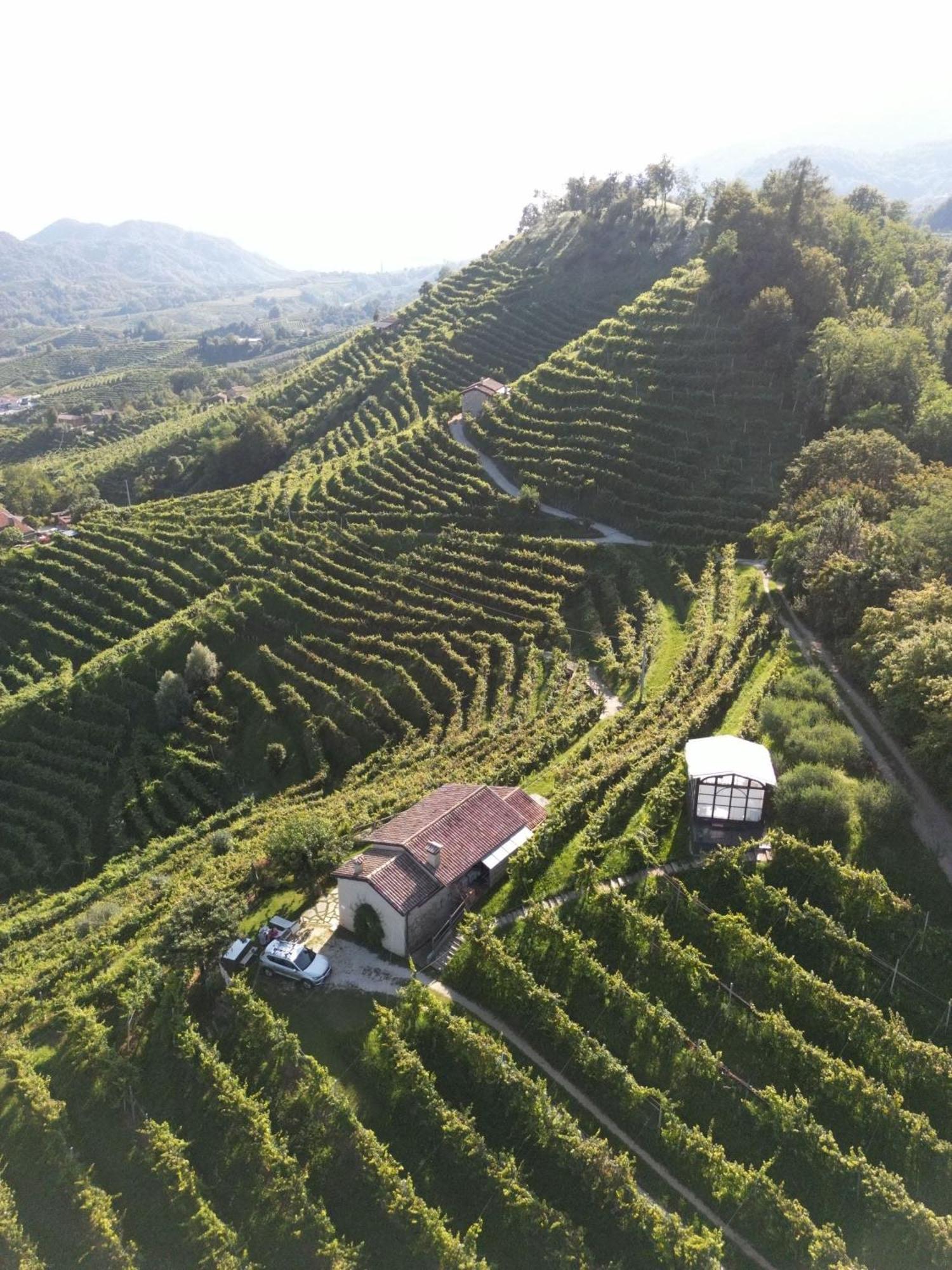 Agriturismo Il Conte Vassallo Miane Exterior foto